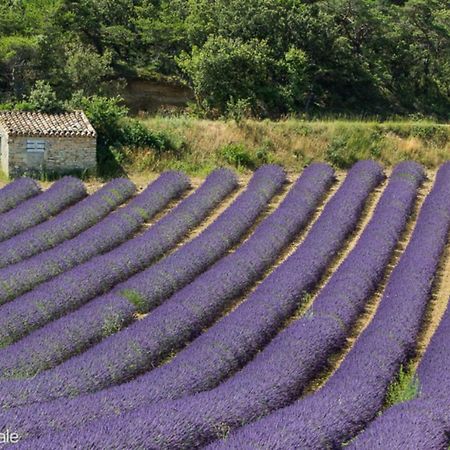 Gite Marius Mirabel-aux-Baronnies ภายนอก รูปภาพ