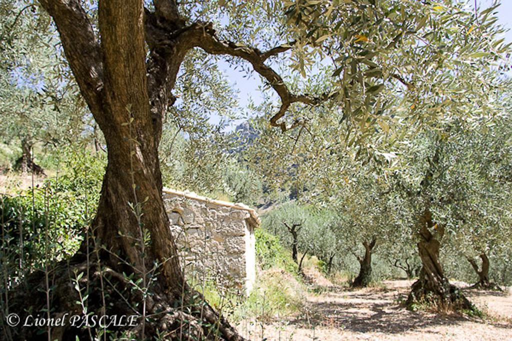 Gite Marius Mirabel-aux-Baronnies ภายนอก รูปภาพ